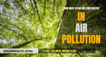 Clean Air Laws: Impacting Air Pollution Positively