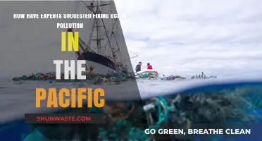 Pacific Ocean Pollution: Expert Solutions and Strategies