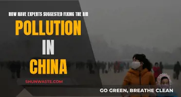 Strategies to Combat Air Pollution in China
