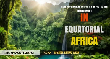 Human Activities and Environmental Change in Equatorial Africa