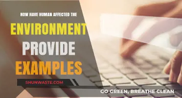 Human Impact on Nature: Examples of Environmental Changes