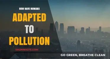 Human Resilience: Adapting to Pollution's Challenges