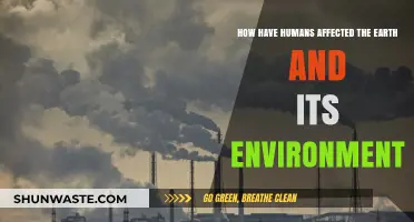 Human Impact: Shaping Earth's Environment Through Actions and Consequences