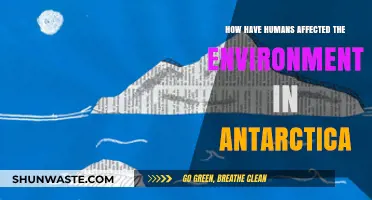 Human Impact on Antarctica's Fragile Ecosystem: Causes and Consequences