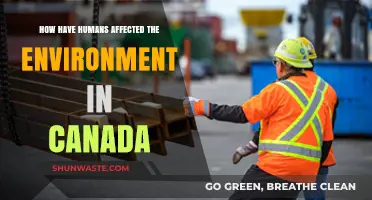 Human Impact on Canada's Environment: Challenges and Consequences