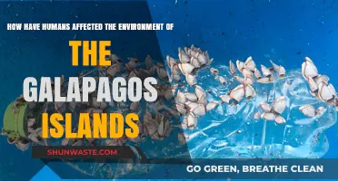 Human Impact on the Pristine Galapagos: A Fragile Ecosystem at Risk