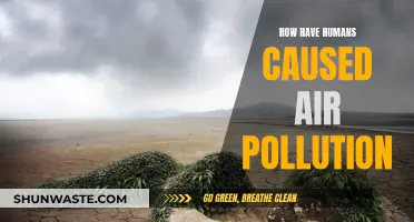 Human Activities: Major Cause of Air Pollution