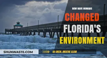Human Impact: Transforming Florida's Environment Through Development and Actions