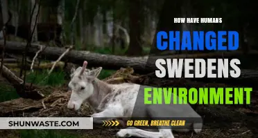Human Impact on Sweden: Environmental Changes and Their Consequences