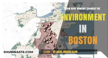 Boston's Environmental Transformation: Human Impact on the City's Landscape