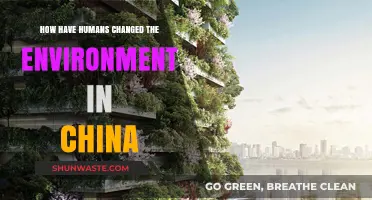 Human Impact: Transforming China's Environment Through Industry and Urbanization