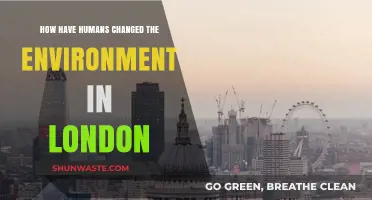 London's Environmental Transformation: Human Impact on the City's Ecosystem