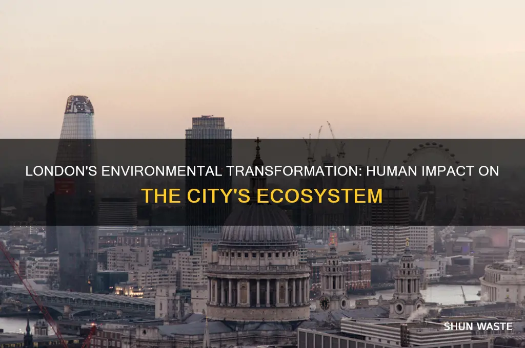 how have humans changed the environment in london
