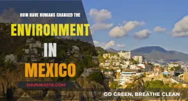 Human Impact on Mexico's Environment: Changes, Challenges, and Consequences