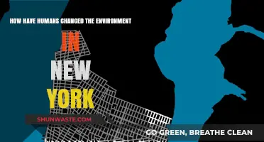 Urban Evolution: How Humans Reshaped New York's Environment