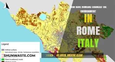 Human Impact on Rome's Environment: A Historical Transformation