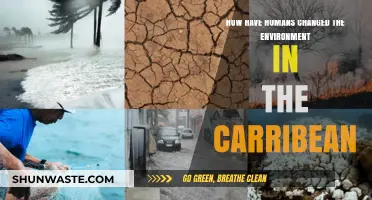 Human Impact on the Caribbean Environment: Changes and Consequences