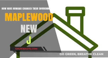 Maplewood's Evolution: Human Impact on the Environment in New Jersey