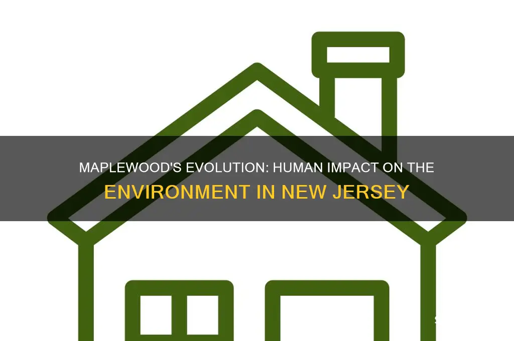 how have humans changed their environment in maplewood new j