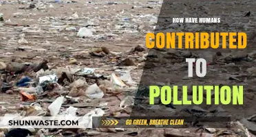 Human Impact: Pollution's Persistent Legacy