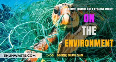 Human Actions, Environmental Consequences: A Look at Our Negative Impact