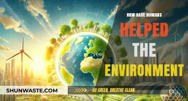 Human Innovations and Conservation Efforts: Positive Impacts on Our Environment