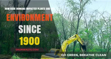 Human Impact on Plants and Environment: A 1900-Present Overview