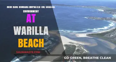 Human Impact on Warilla Beach: Coastal Environment Changes Explored