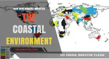 Human Activities and Their Profound Impact on Coastal Ecosystems