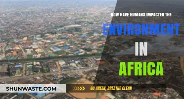 Human Impact on Africa's Environment: Challenges and Consequences