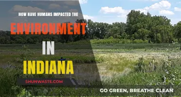 Indiana's Environmental Transformation: Human Impact and Ecological Consequences