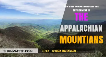 Human Impact on the Appalachian Mountains: Environmental Changes and Challenges
