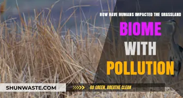 Human Pollution's Impact on Grassland Biome
