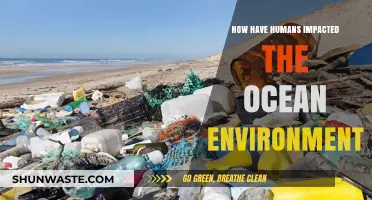 Human Actions and Their Devastating Impact on Ocean Ecosystems