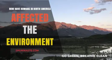 Human Impact on North America's Environment: A Historical Overview