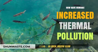 Human-Induced Thermal Pollution: A Growing Environmental Concern