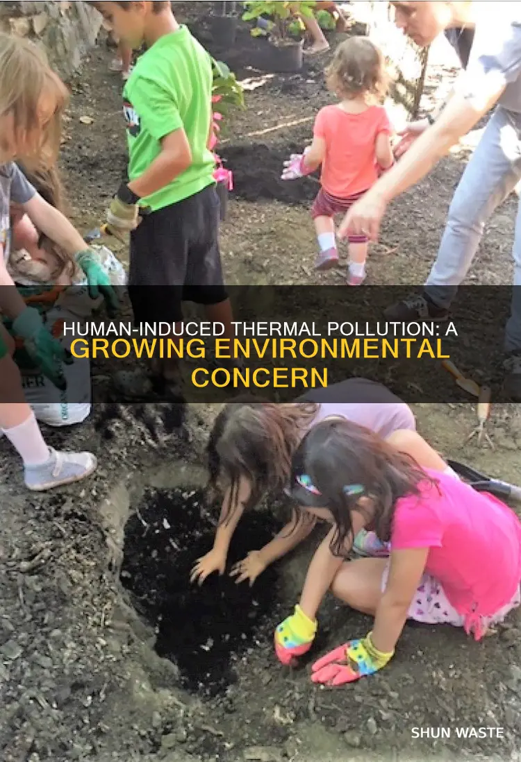 how have humans increased thermal pollution