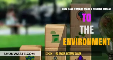 Human Innovations: Positive Environmental Impacts and Sustainable Progress