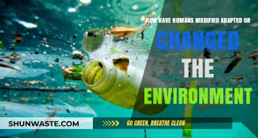 Human Impact: Shaping and Transforming Our Environment Through Adaptation