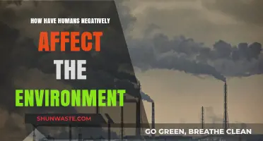 Human Impact: Devastating Ways We’ve Harmed Our Planet’s Environment