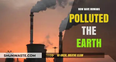 Human Impact: Polluting Our Planet