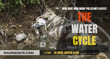 Water Cycle: Man-Made Pollutants' Devastating Impact