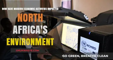 Modern Economic Activities: Environmental Impacts on North Africa's Fragile Ecosystems