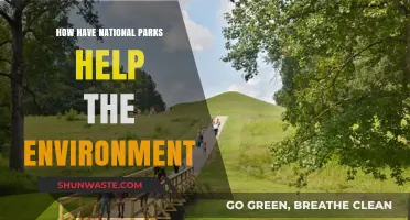 National Parks: Environmental Guardians Preserving Ecosystems and Biodiversity Effectively