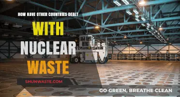 Global Strategies for Managing and Disposing of Nuclear Waste