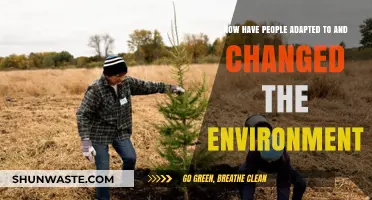 Human Resilience: Adapting to and Transforming Our Environment Over Time