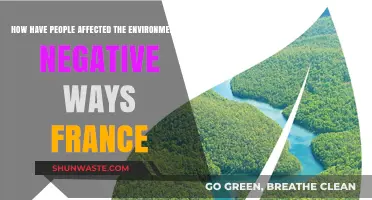 France's Environmental Crisis: Human Impact and Negative Consequences Explored