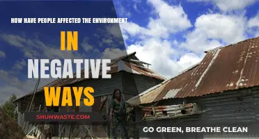 Human Impact: Unveiling Our Destructive Footprint on the Environment