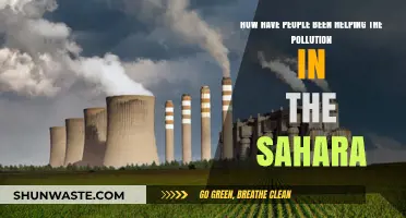 Human Efforts to Combat Sahara Pollution