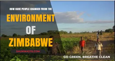 Zimbabwe's Evolving People: Adapting to Environmental Shifts and Challenges